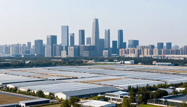 网站建设中的实际使用技巧与场景应用解析